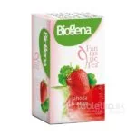 Biogena Fantastic Tea Jahoda & Ginkgo 20x2g