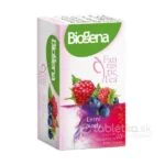 Biogena Fantastic Tea Lesné plody 20x2,2g