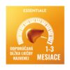 Oranžová grafika so znázornením pečene, ikonou merača a textom v slovenčine o užívaní Essentiale forte 600mg 1-3 mesiace.