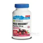 NATUREVIA MAX BRUSNICE 250mg 36 pastiliek