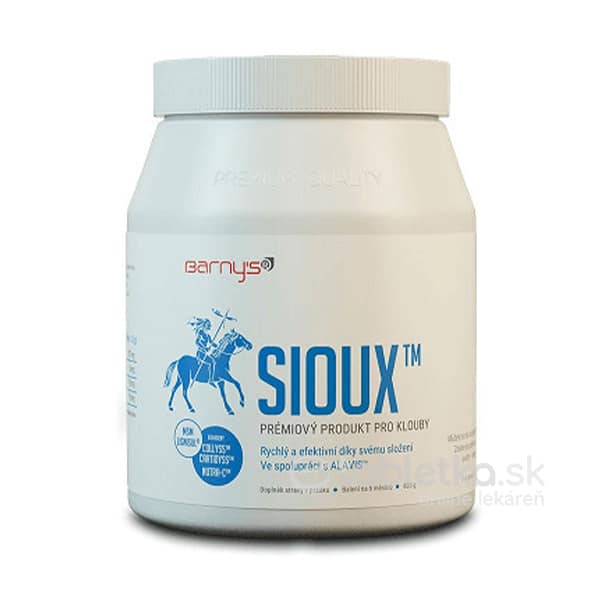 BARNY'S Sioux MSM Super Forte 600g