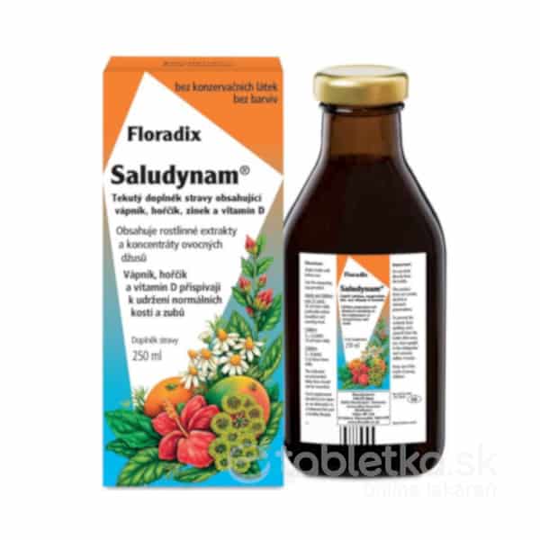 E-shop SALUS Floradix Saludynam 1×250 ml, tekutá forma