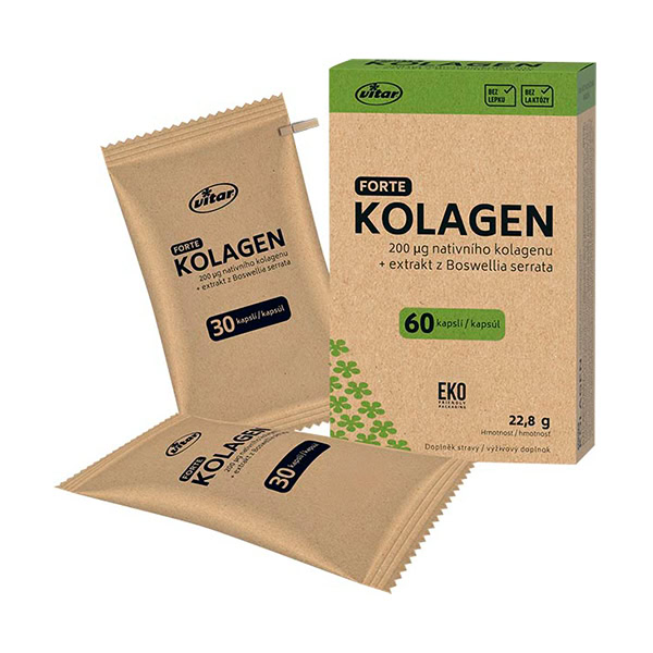 Vitar KOLAGÉN FORTE + extrakt z Boswellia serrata 60 kapsúl Krabica Vitar KOLAGÉN FORTE + extrakt z Boswellia serrata, vedľa nej dva hneďé balíčky po 30 kapsúl, spolu 60.