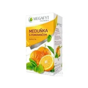 MEGAFYT Medovka s pomarančom 20 x 2 g