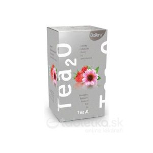 Biogena Tea2O Jahoda & Echinacea 20×2,3 g