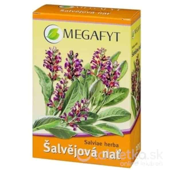 E-shop MEGAFYT BL Šalviová vňať bylinný čaj 1x30 g