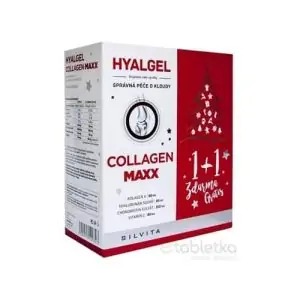 HYALGEL COLLAGEN MAXX Vianočné balenie tekutý prípravok s pomarančovou príchuťou (1+1 zdarma) 2×500 ml (1000 ml) – 1 set