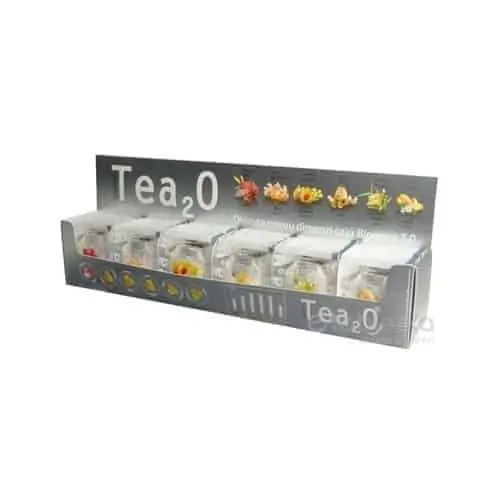 Biogena Tea2O MAXI kolekcia čajov 1x60ks