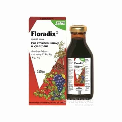E-shop SALUS Floradix sirup 250 ml