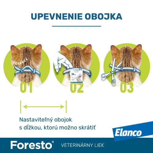 Ako upevniť obojok Foresto psovi alebo mačke