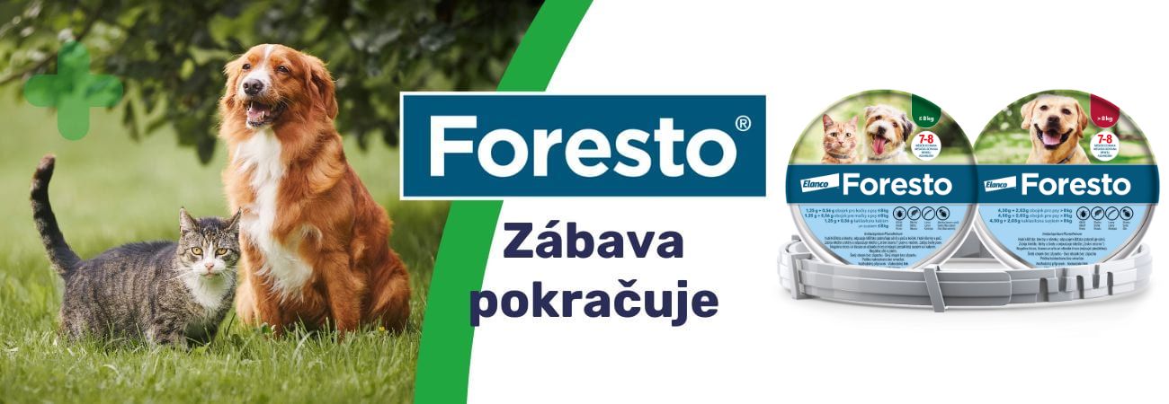 Foresto - a zábava pokračuje