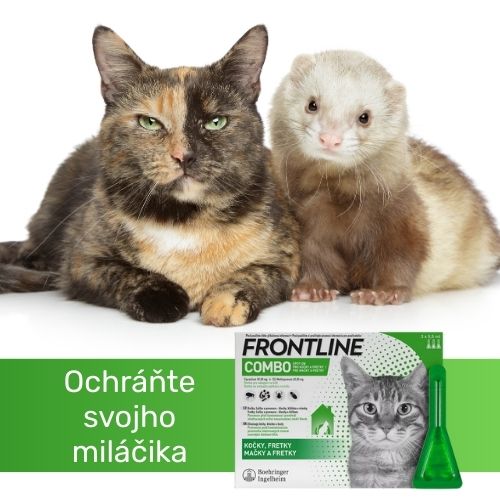 Frontline Combo Spot-on pre mačky a fretky - ochráňte svojho miláčika!