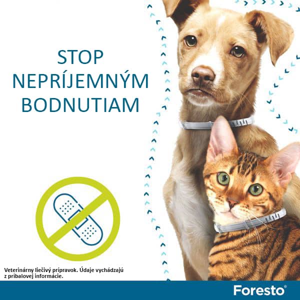Stop nepríjemným bodnutiam s obojkom Foresto pre psy a mačky