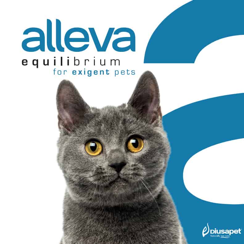 Alleva SP Equilibrium krmivá pre mačky