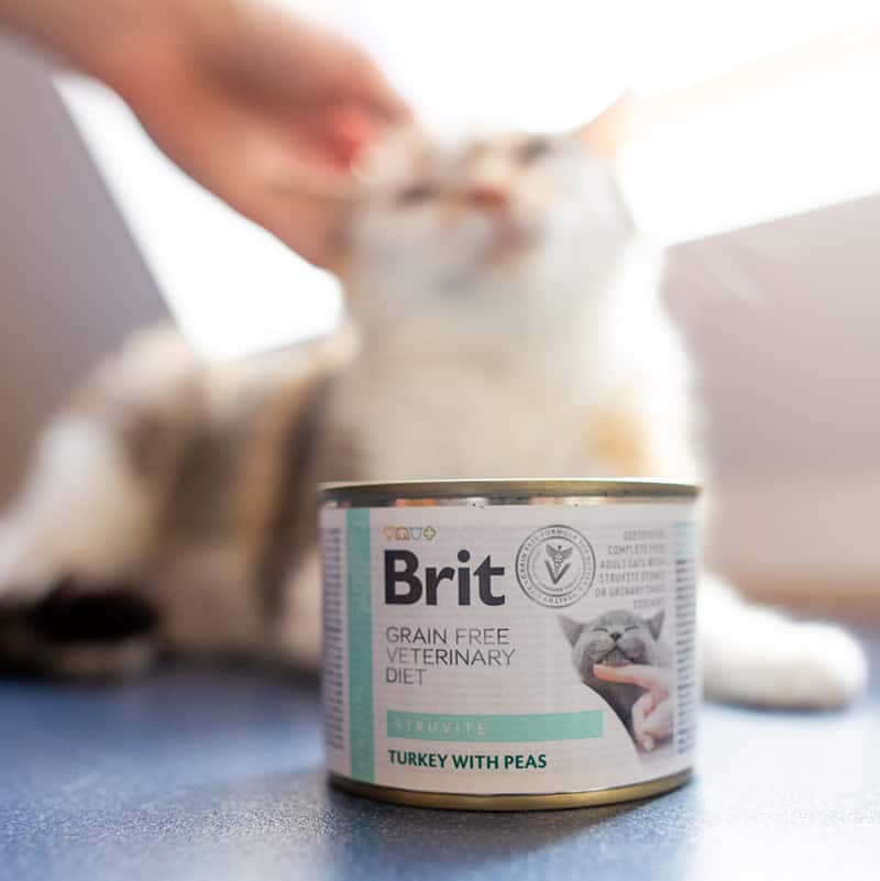 Konzerva Brit Veterinary Diets GF cat Struvite