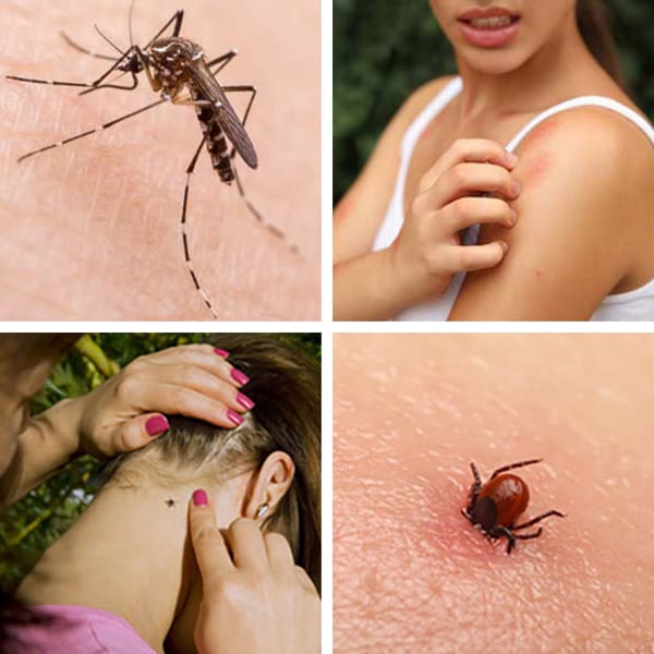 Chráňte svoju pokožku pred hmyzom s prípravkami ComarEx