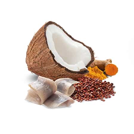 quinoa skin & coat, herring & coconut