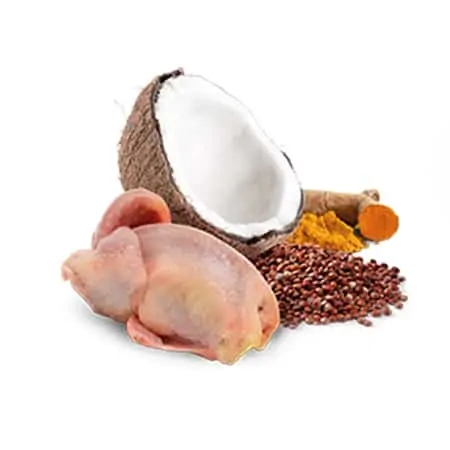 quinoa skin & coat, quail & coconut
