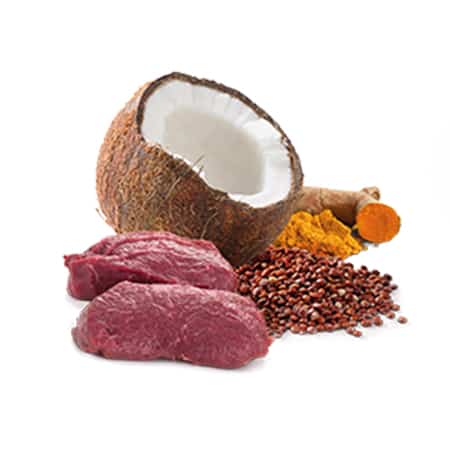 quinoa skin & coat, venison & coconut