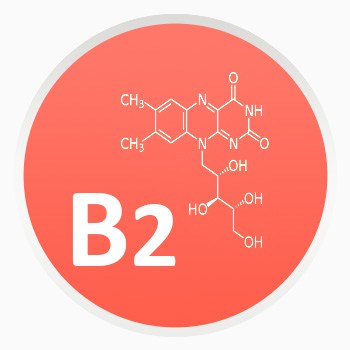 Vitamín B2 - Riboflavín