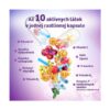 Diagram Barny's PROBIOurin AKUT 20 kapsúl zobrazuje rastlinnú kapsulu, ovocie, kvety, probiotické a ikony doplnkov. Text v slovenčine uvádza 10 účinných látok vrátane vitamínov a rastlinných extraktov.