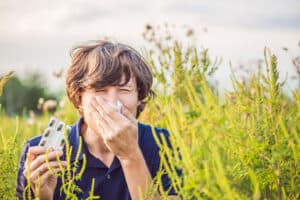 pelova alergia prejavy a liecba