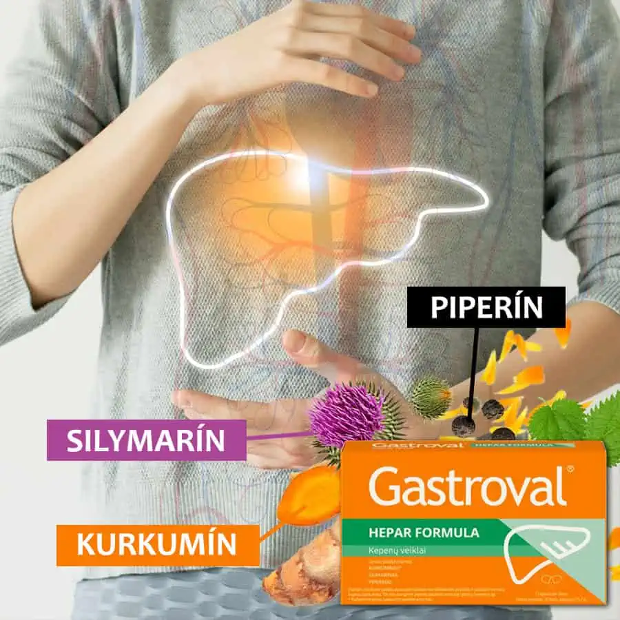 Účinné látky doplnku Gastroval HEPAR FORMULA