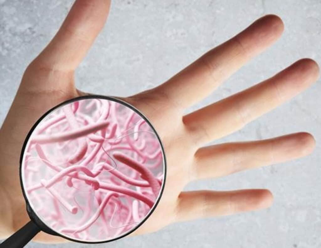 Baktérie z neumytých rúk sú všade okolo nás