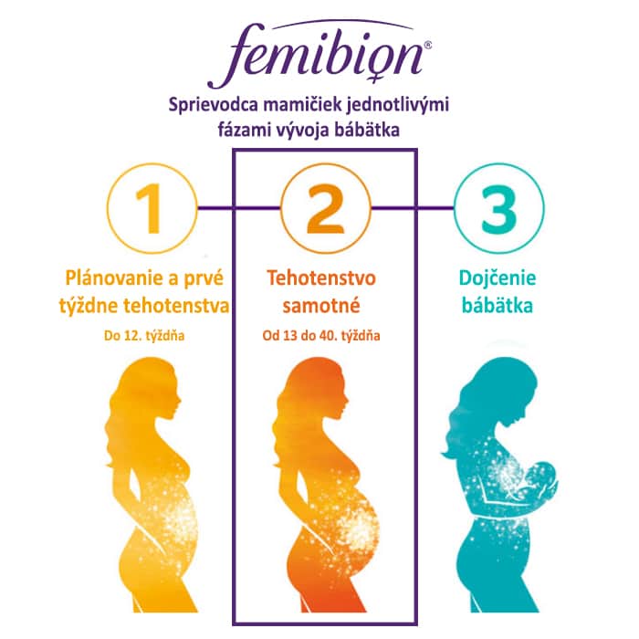 Femibion 2 - Nové zloženie s vybranými látkami od 13. týždňa tehotenstva až do pôrodu