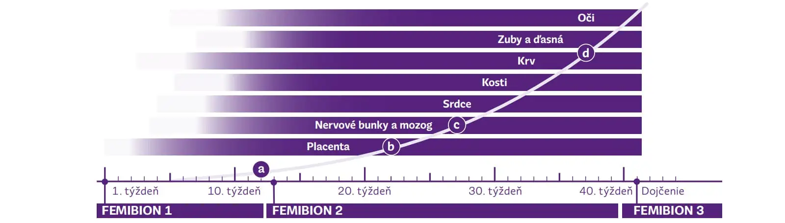 Femibion pre všetky vývojové fázy od plánovania počatia až po dojčenie