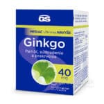 GS Ginkgo 40mg 90+30 tabliet