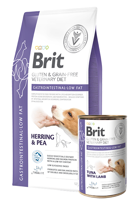 Veterinárne diéty Brit Veterinary Diets GF dog Gastrointestinal LOW FAT