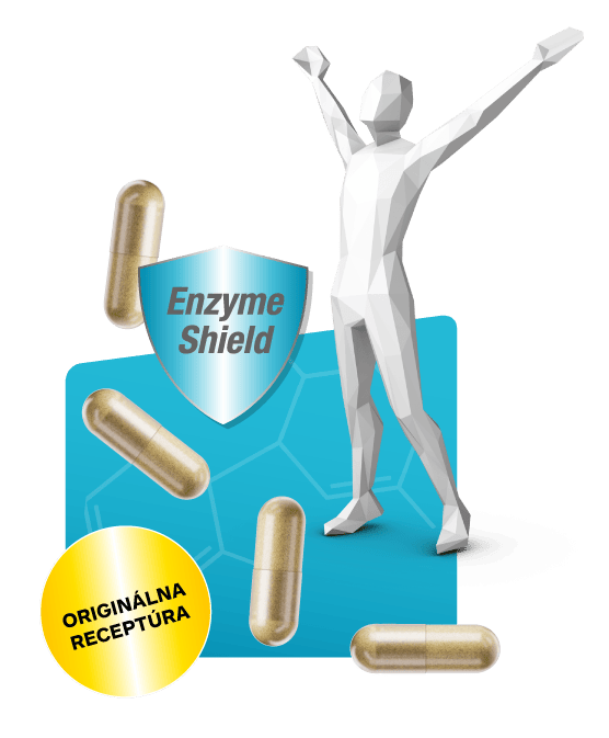 Terapeutické enzýmy pod ochranou technológie Enzyme-Shield