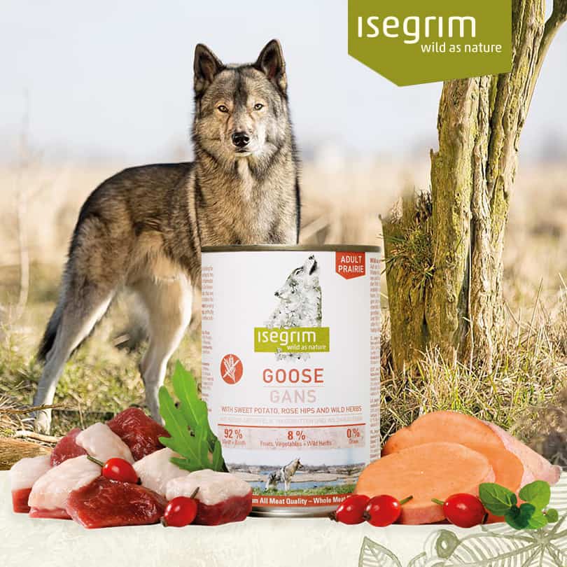 Konzerva pre psy Isegrim Dog Adult Goose+Sweet Potato a jej zloženie