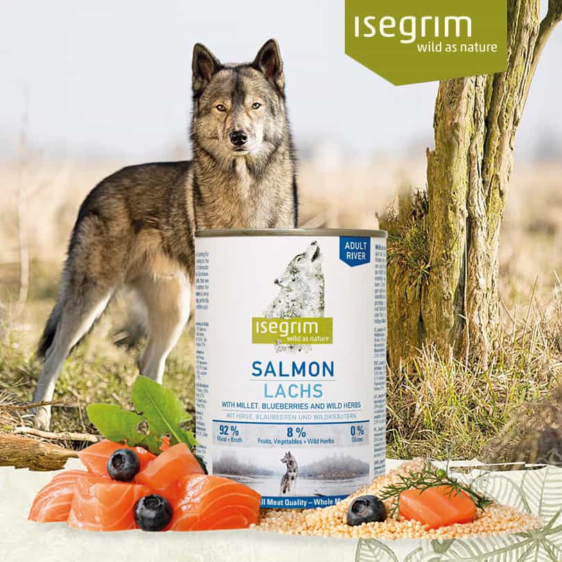 Konzerva pre psy Isegrim Dog Adult Salmon+Millet a jej zloženie