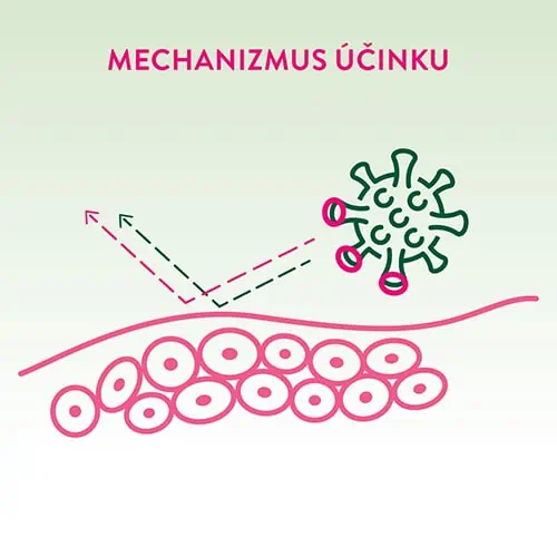 Mechanizmus účinku produktov Virostop