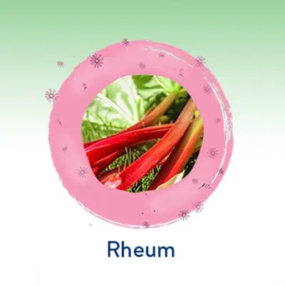 Rheum 5 CH