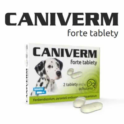 Ako CANIVERM FORTE tablety správne podávať