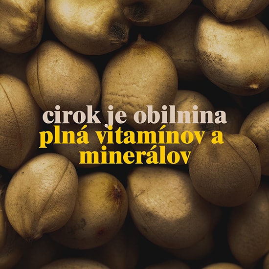Cirok je pôvodná obilnina plná vitamínov a minerálov