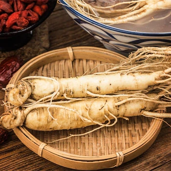 zensen - panax ginseng