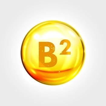 riboflavin vitamin b2