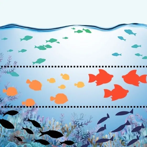 Kde sa vaše rybky najčastejšie zdržiavajú? Plávajú pri hladine, v strede alebo pri dne?