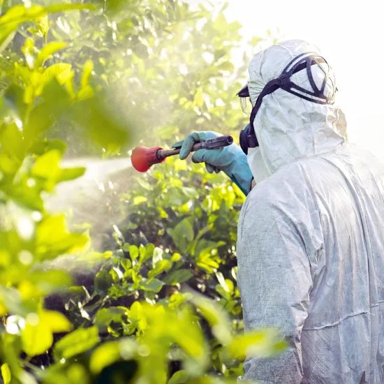 Čo trápi naše včely, sú postreky herbicídmi a pesticídmi