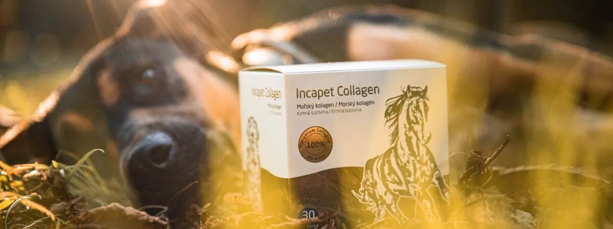 Hydrolyzovaný kolagén pre psy Incapet Collagen