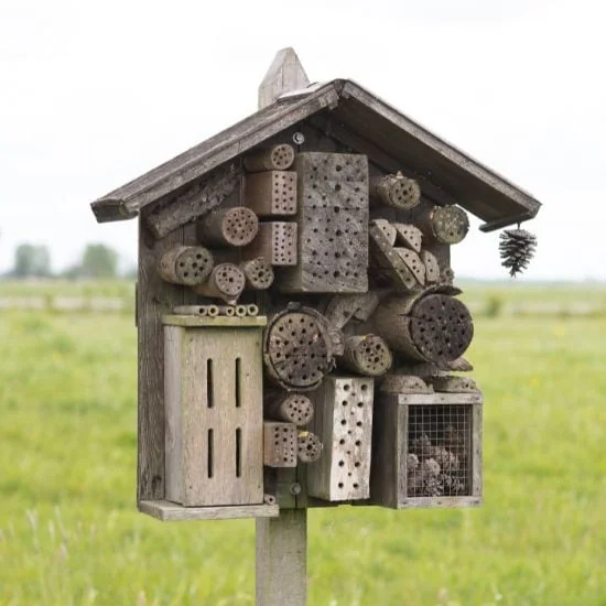 Inštalácia včelích hotelov pomáha samotárskym včelám
