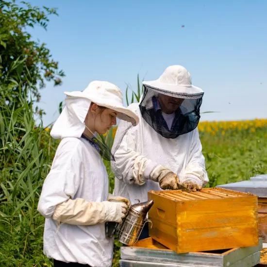 Včely v zime a na jar potrebujú pomoc včelára, ktorý im môže podať výživu