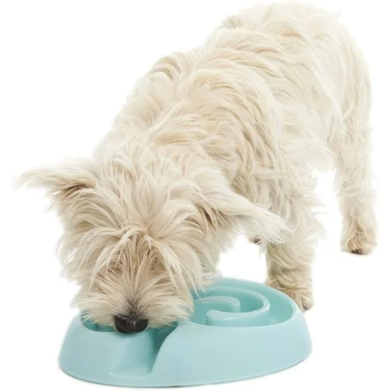 Miska proti hltaniu nedovolí psíkov skonzumovať krmivo príliš rýchlo