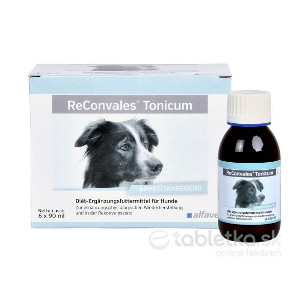 ReConvales Tonicum dog 6x90ml