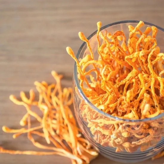 Žezlovka čínska (Cordyceps sinensis)