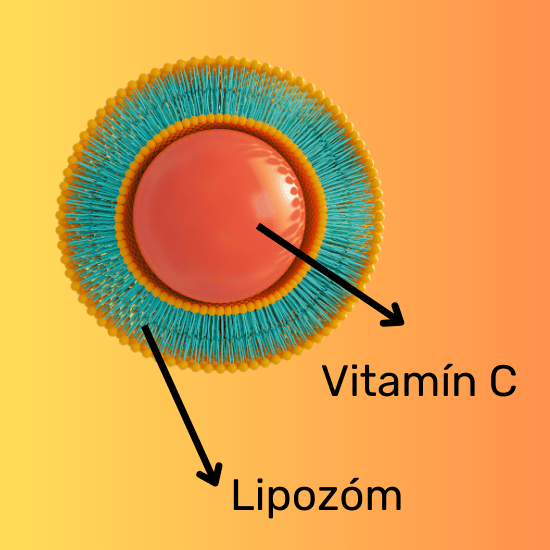 Prečo práve lipozomálny vitamín C značky Plus lekáreň?